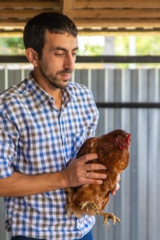 The farmer holds a chicken in his hands. Selective focus. animal.