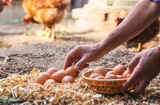 Homemade chicken eggs are held by a farmer in his hands. Selective focus. food.