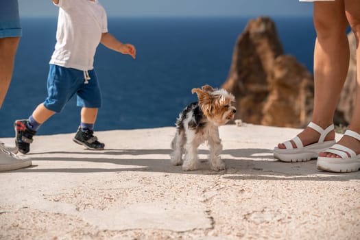small dog is standing on a beach next to a child and a woman. The dog is looking at the camera and he is curious. The scene is relaxed and casual, with the family enjoying their time at the beach
