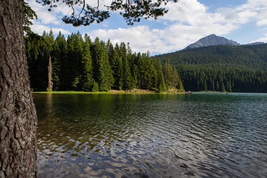 Mountain landscape, Durmitor National Park, Montenegro. Beautiful view of the lake benches near the lake in a beautiful forest