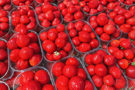 Boxes of strawberries at a French market