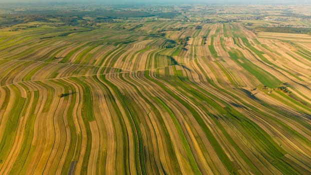 Aerial view of summer cultivated green and yellow fields near Suloszowa village in Krakow County, Poland