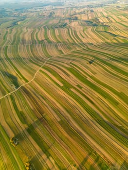 Aerial view of cultivated fields Suloszowa village, strips of plowed land with roads and lonely trees in Krakow County, Poland