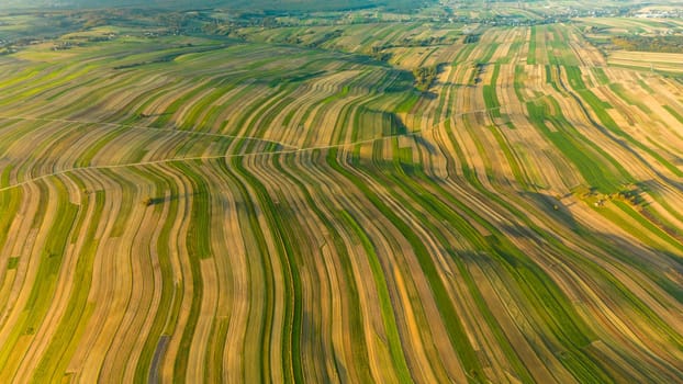 Drone panoramic view of countryside farm field with harvest in Suloszowa village, Krakow County, Poland