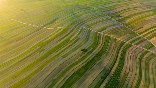 Sunset drone view of roads through cultivated farm fields in Suloszowa village in Krakow County, Poland