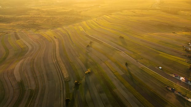 Aerial photo from flying drone over yellow fields of Suloszowa village in Krakow County at sunset, Poland