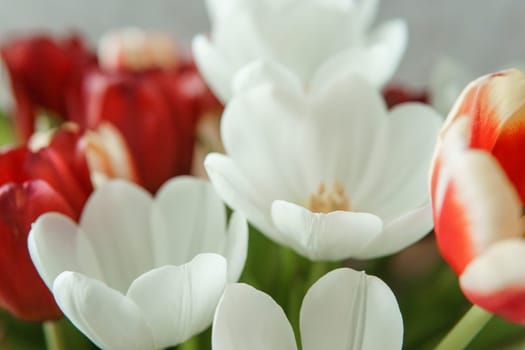 Spring Inspiration: Tulip Bouquet in Honor of International Women's Day