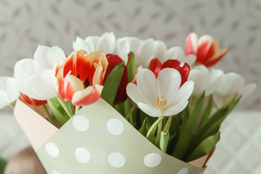 Tender Petals: Tulips Captured in Camera Lens for International Women's Day