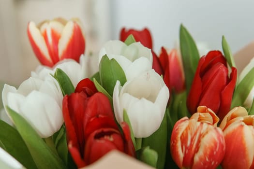 Floral Magic: Close-up of Tulip Bouquet for the Spring Holiday