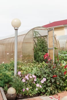 Large greenhouses for growing homemade vegetables. The concept of gardening and life in the country