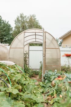 Large greenhouses for growing homemade vegetables. The concept of gardening and life in the country