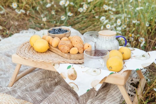 Picnic in the chamomile field. A large field of flowering daisies. The concept of outdoor recreation