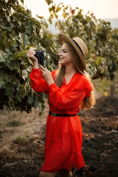 portrait of a happy woman in the summer vineyards at sunset. woman in a hat and smiling