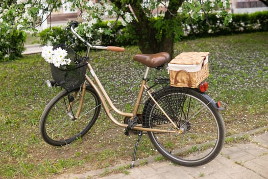 A beautiful retro bike with a wicker basket stands next to a blooming apple tree in the park