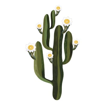 Saguaro. Blooming cactus with white and yellow flowers. Plants for the home. Floriculture. Desert flora. Isolated watercolor illustration on white background. Clipart