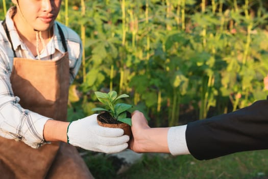 Eco-business company empower farmer with eco-friendly farming practice and clean agricultural technology. Cultivate sustainable future nurturing plants to grow and thrive. Gyre