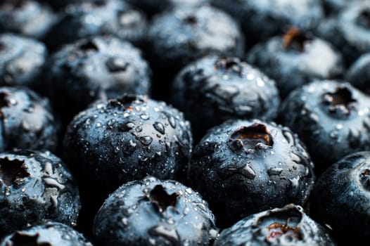 Close-up Wet fresh Blueberry background. Studio macro shot