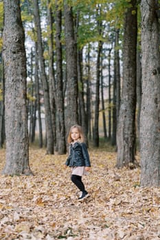 Little girl walks through a thick carpet of fallen dry leaves in the autumn forest. High quality photo