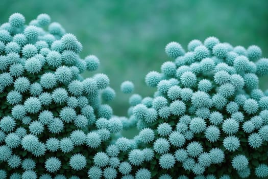 The image is a close-up of a group of white flowers with long, thin stems and small, round leaves.