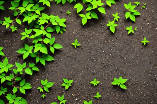 The image shows a green vine with leaves growing on a concrete background.