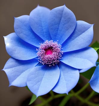 The image is a blue flower with pink petals and a yellow center.