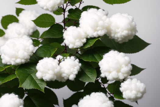 The image shows a white flower with white petals and green leaves on a branch.