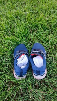 blue sneakers shoes and socks on green grass. High quality photo