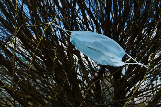 Medical mask hanging from the branches of a bush.