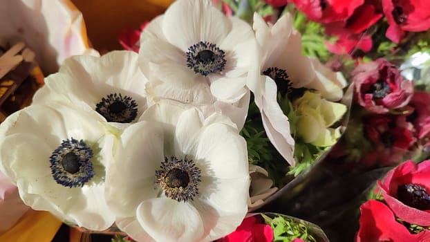 beautiful white flowers in a bouquet, flora, botany plant. High quality photo