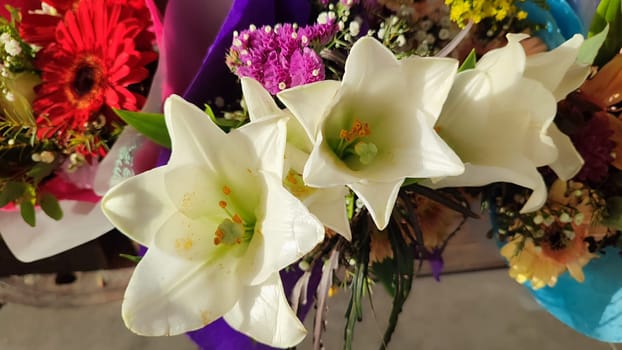 beautiful white flowers in a bouquet, flora, botany plant. High quality photo