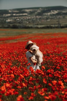 Field of poppies woman dog. Happy woman in a white dress and hat stand with her back through a blooming field of poppy with a white dog. Field of blooming poppies