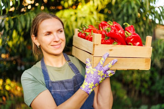 Woman holding wooden crate with red bell peppers in garden. Harvesting and agriculture concept with copy space for design and print.