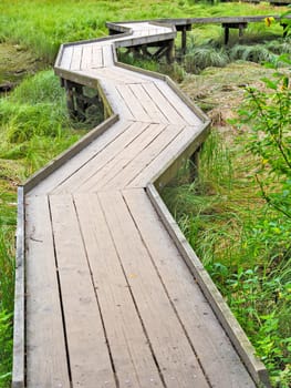 Wooden flooring pathway over the swampy terrain in British Columbia