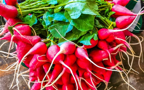 Redies radish radishes vegetables on the market in Zicatela Puerto Escondido Oaxaca Mexico.