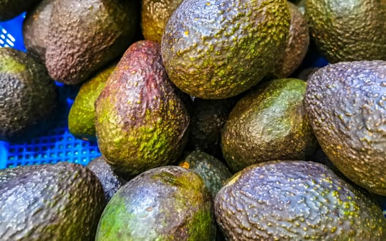 Avocado Avocados Vegetables on the market in Zicatela Puerto Escondido Oaxaca Mexico.