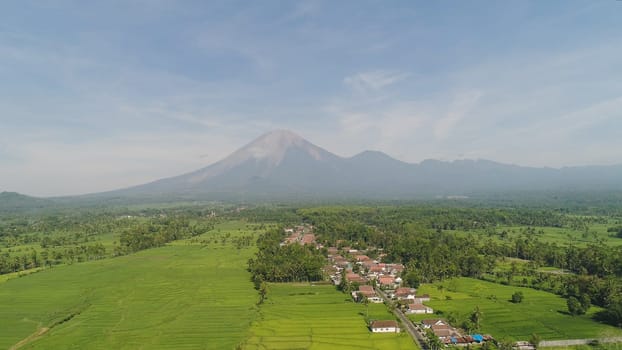 Rural landscape in asia village among rice fields agricultural land, mountains in countryside. aerial view farmland with agricultural crops in rural areas Java Indonesia