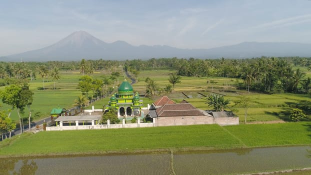 mosque in middle rice fields in Indonesia. aerial view farmland with rice terrace agricultural crops in rural areas Java Indonesia