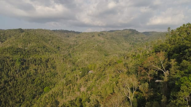 tropical forest on mountain slopes. aerial view rainforest in Indonesia. tropical forest with green, lush vegetation.