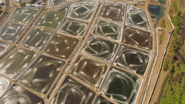 shrimp farm, prawn farming with with aerator pump oxygenation water near ocean. aerial view fish farm with ponds growing fish and shrimp and other seafood. Fish hatchery pond aerial view aquaculture business exported international market. java, indonesia