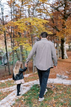 Little girl walks along a paved path in the autumn forest, holding her dad hand. Back view. High quality photo