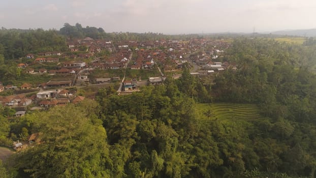 town among rice fields and terraces in Asia. aerial view farmland with rice terrace agricultural crops in countryside Indonesia, Bali.