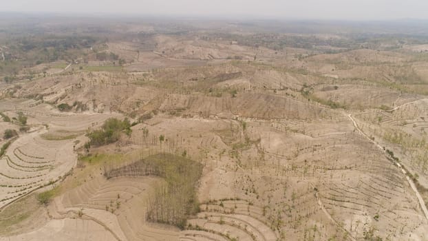 agricultural land in rural areas with farmlands, fields with crops, trees in arid hilly terrain. aerial view growing crops in asia in hilly areas Indonesia.