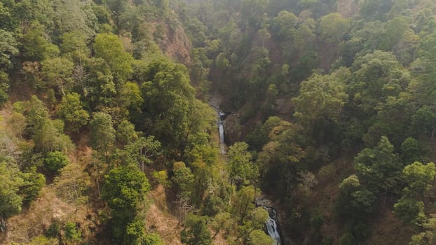 waterfall in tropical forest. aerial view hidden waterfall rainforest in Java Indonesia. forest with green, lush vegetation.