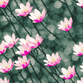 The image shows a group of pink flowers blooming on a green background. - seamless and tileable