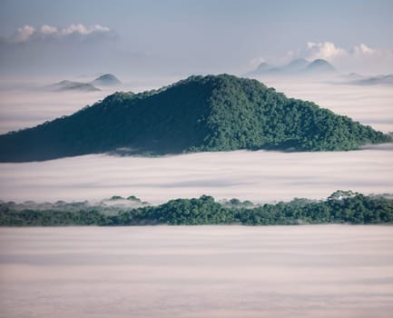 The image is a foggy landscape with mountains in the background and trees in the foreground.