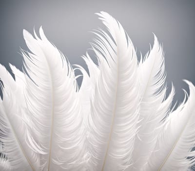 The image is a white feather with a soft, fluffy texture.