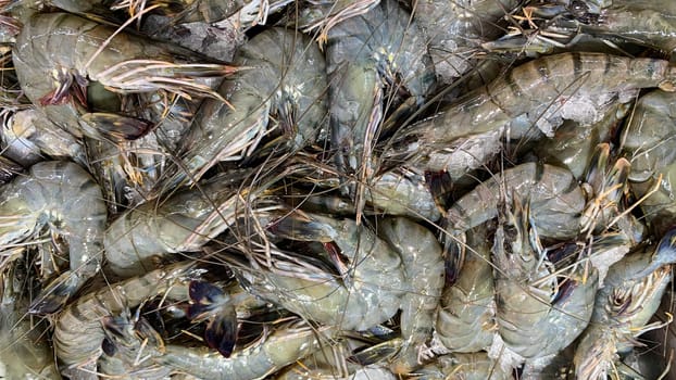 Prawns covered with ice. Asian street market concept.