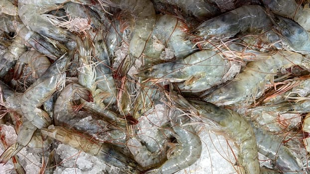 Top view of prawns covered with ice. Asian street market concept.