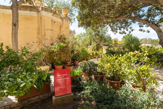 Valletta, Malta, April 03, 2024. the plants in the Argotti botanic gardens an resource center in Floriana