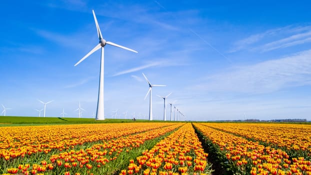 A vibrant field of tulips stretches into the distance, with iconic windmills swaying in the background, symbolizing the picturesque beauty of the Netherlands in Spring. windmill turbines, green energy